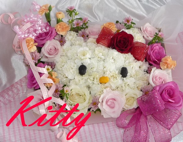 a-kittyface004.jpg