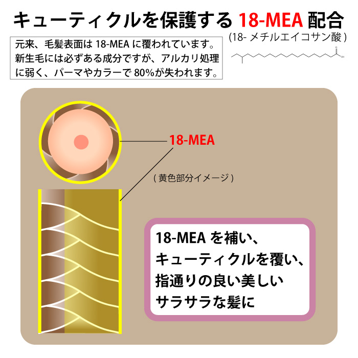 park パーク キャッシュクリア シャンプー 1000ml ＆ スーパー