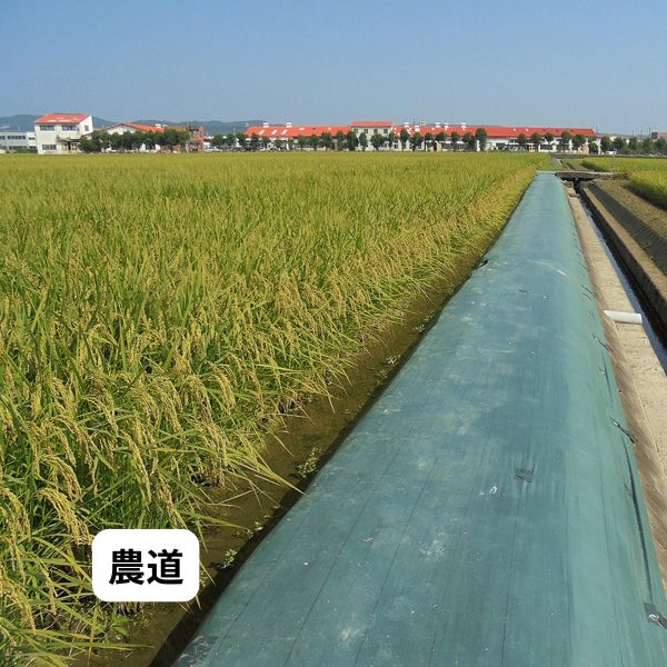 防草シート 密度135G 1m×100m グリーン UV剤入 抗菌剤入 135g平米 農用