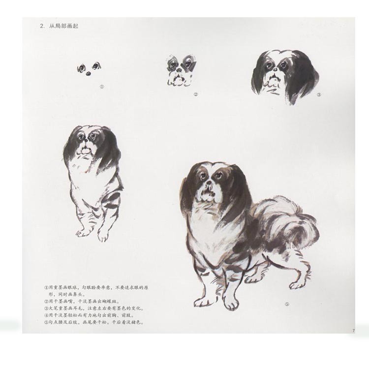 水墨画 / 水墨画集 中国画集 墨彩画 絵手紙 日本画 中国画技法 犬