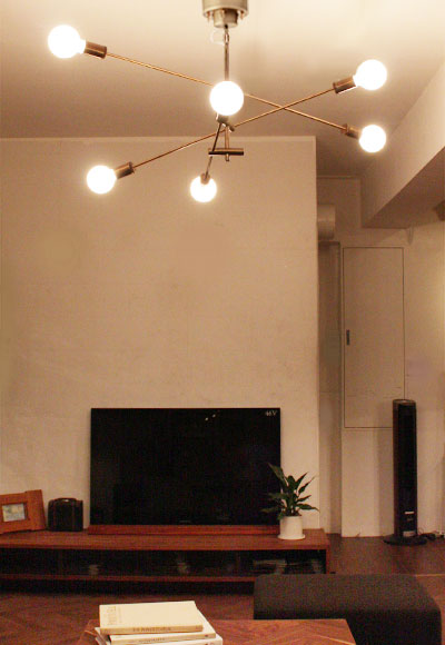 DI CLASSE（ディクラッセ） カーディナル ブラック ペンダントライト