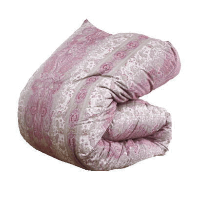 ポーランド産ホワイトマザーグースダウン93％ 2層キルト 二層 429dp