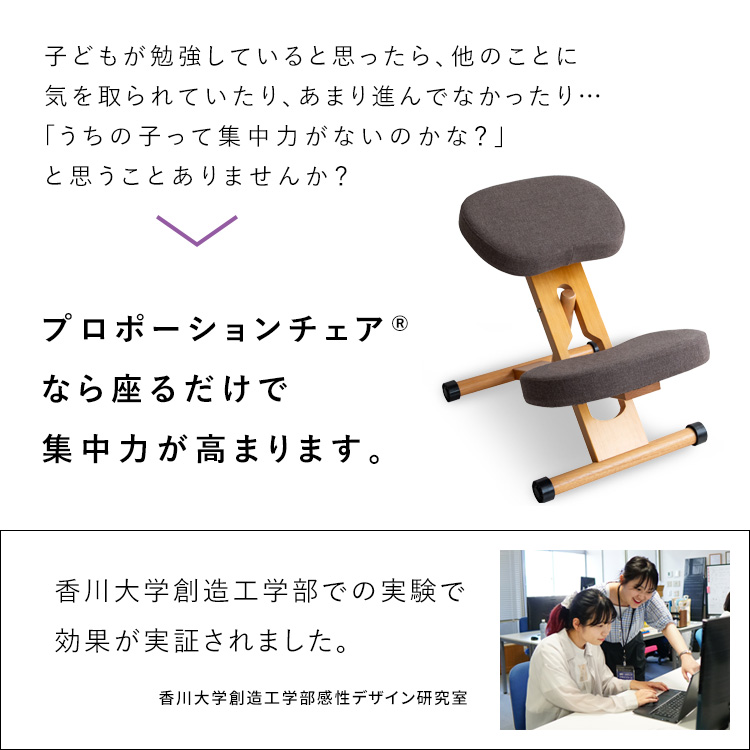 宮武製作所 プロポーションチェア バランスチェア 姿勢矯正 骨盤矯正