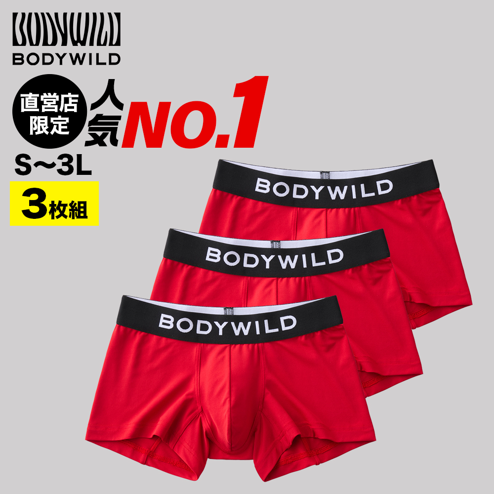 BODY WILD（ボディワイルド） 4日9時までタイムセール グンゼ ボクサー