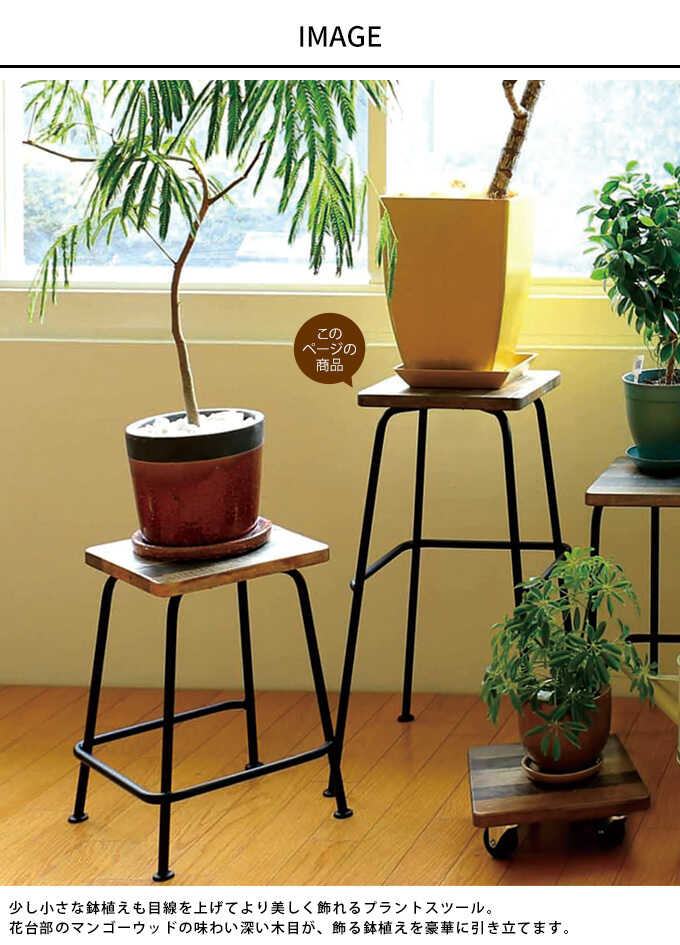 花台 プランタースタンド スツール コーヒーテーブル 鉢置台
