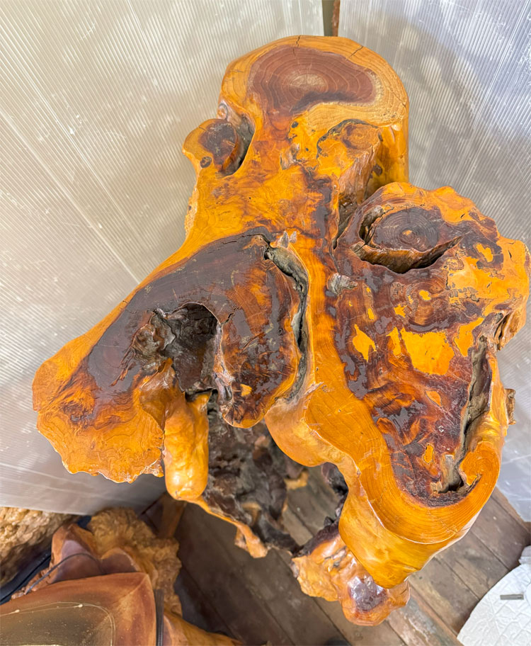 送料無料 自然木 飾り台 展示品 オブジェ H123cm 古民家 置物 おしゃれ