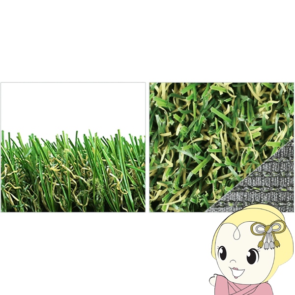 メモリーターフ25mm 人工芝」の人気商品一覧 | 安い商品を通販サイト