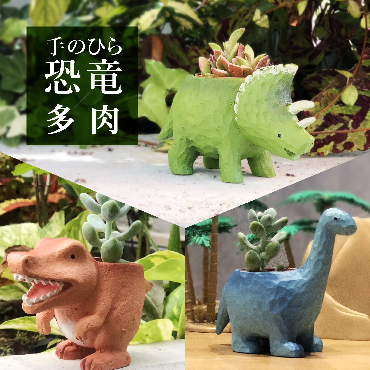 花のギフト社 多肉植物 鉢植え 多肉 トリケラトプス ティラノサウルス