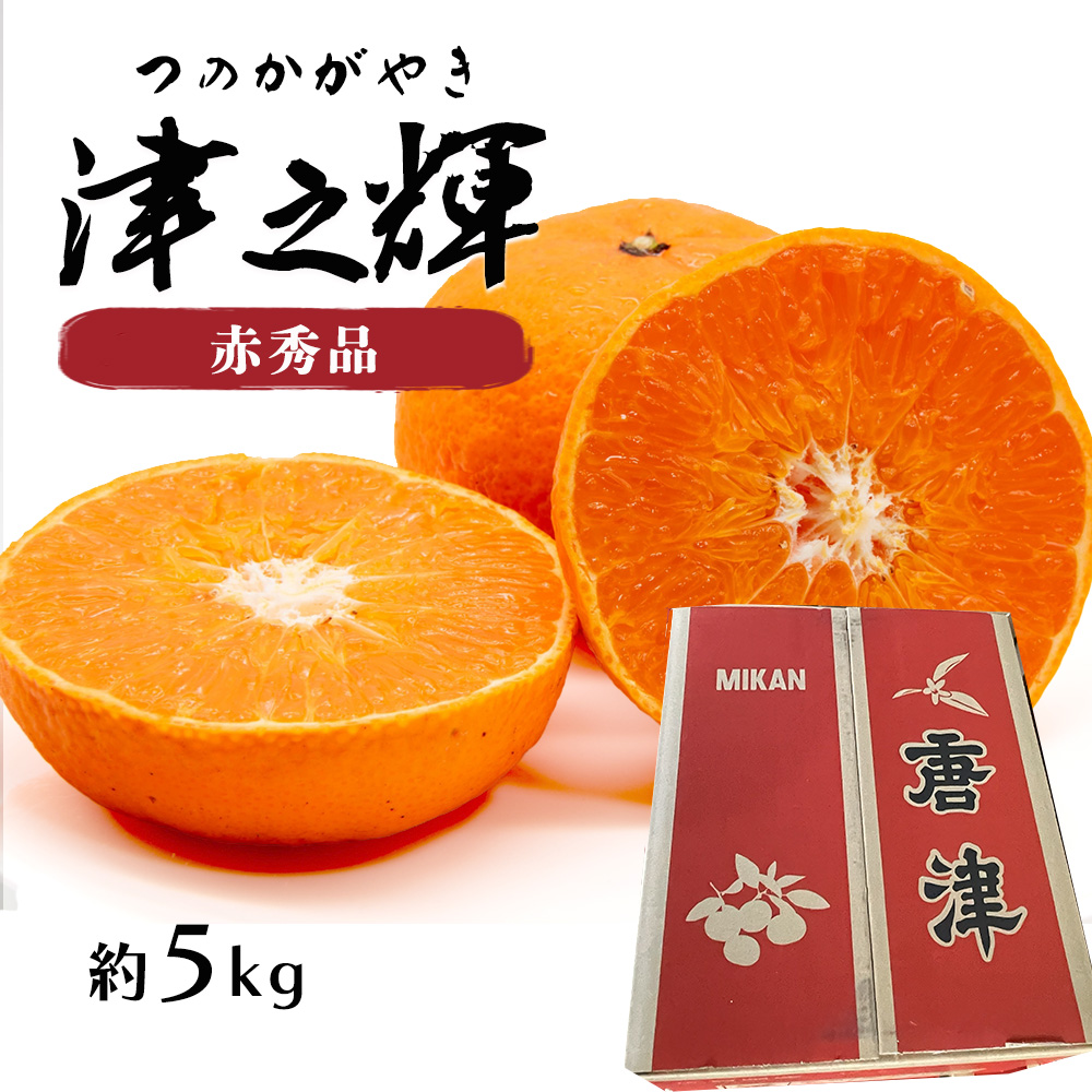 ケース 箱売り 津之輝 つの輝き つのかがやき 赤秀 約 5kg 佐賀県産