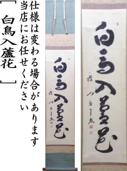 茶道具 掛軸 掛け軸 一行 白鳥入蘆花 橘宗義筆 茶道 : 茶道具いまや