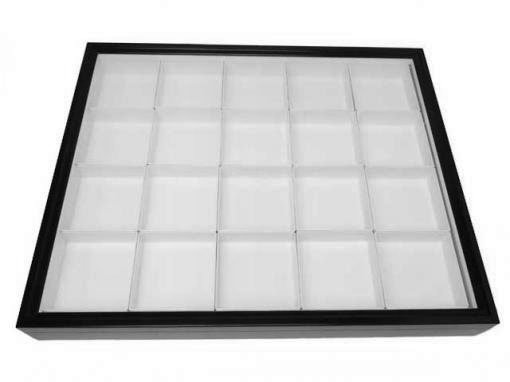 大型ドイツ型標本箱（黒） : インセクテック・ドット・コム - 通販