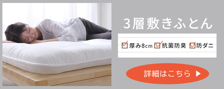 IRIS OHYAMA（アイリスオーヤマ） 折りたたみベッド コンパクト