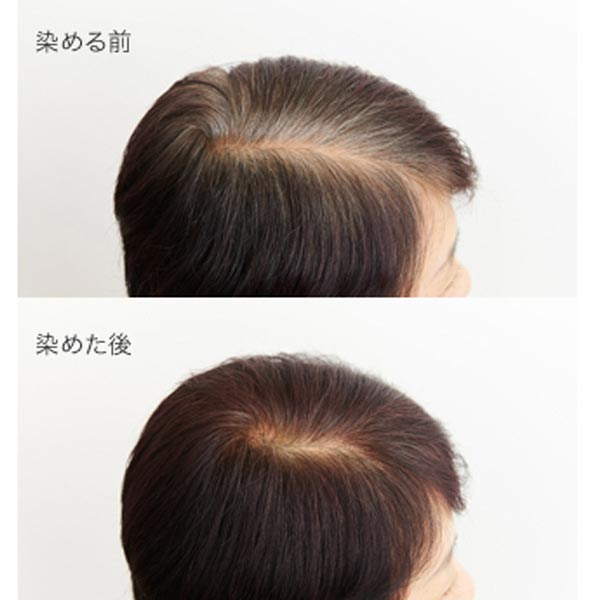 naiad（ナイアード） ヘナ+木藍 黒茶 No.4 徳用400g（100g×4袋