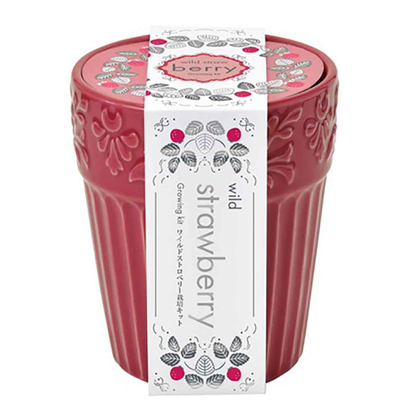 栽培キット ワイルドストロベリー ミニヒマワリ 四つ葉のクローバー 聖