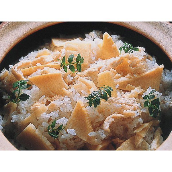 長谷園 かまどさん 2合炊き 伊賀焼 直火専用 ACT-03 二合炊き ご飯鍋