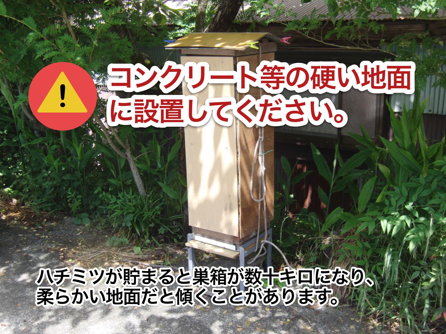 重箱式巣箱4段セット : 週末養蜂家ショップ - 通販 - Yahoo!ショッピング