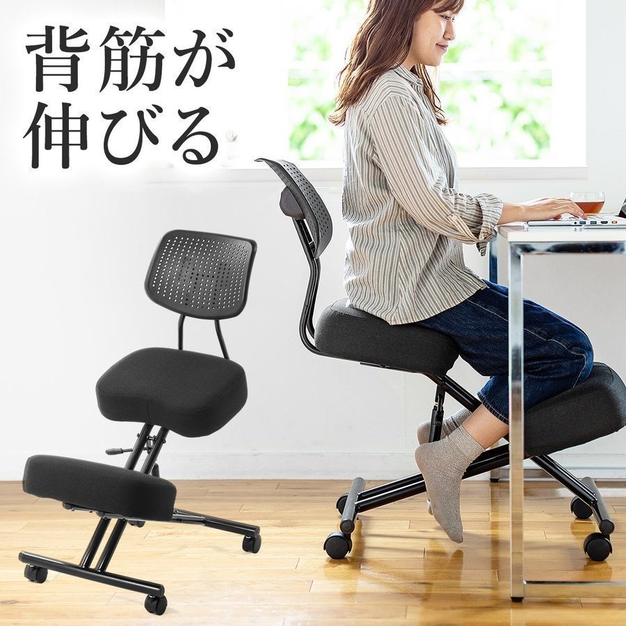 SANWA SUPPLY（サンワサプライ） バランスチェア バランスチェアー