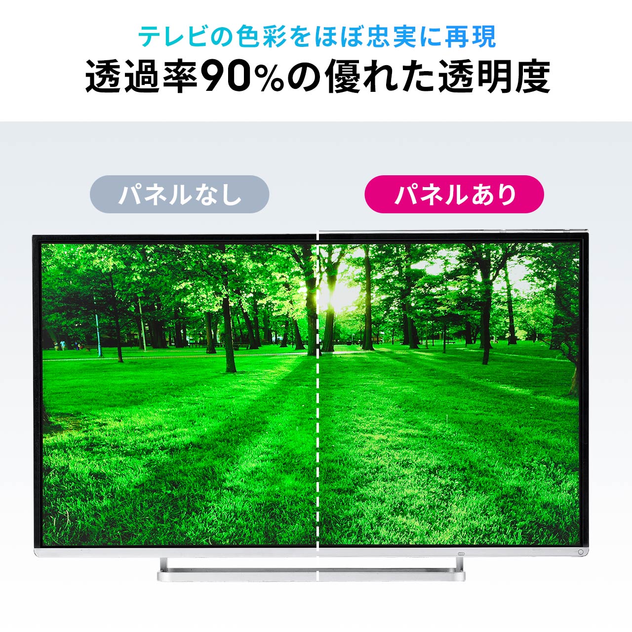 SANWA SUPPLY（サンワサプライ） テレビ 保護パネル 液晶テレビ TV