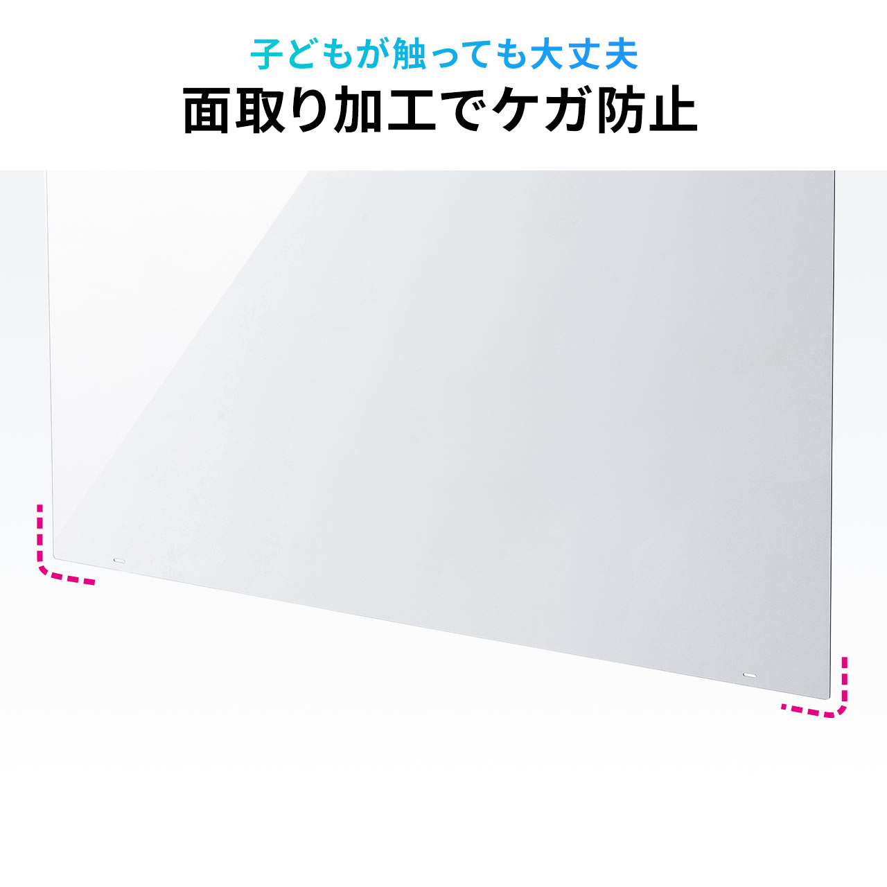 SANWA SUPPLY（サンワサプライ） テレビ 保護パネル 液晶テレビ TV