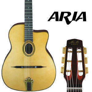 アコースティックギター 初心者 セット 台数限定 Epiphone AJ-100/VS