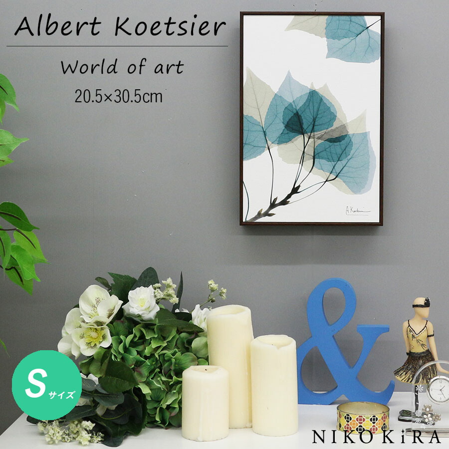 X RAY キャンバスアート リーフ1 絵画 インテリア 玄関 絵 アート