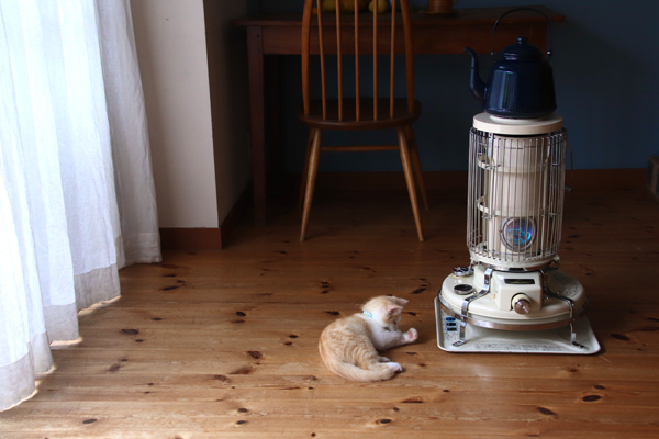 TOKILABOYahoo!ショッピング店 - Aladdinアラジン｜Yahoo!ショッピング