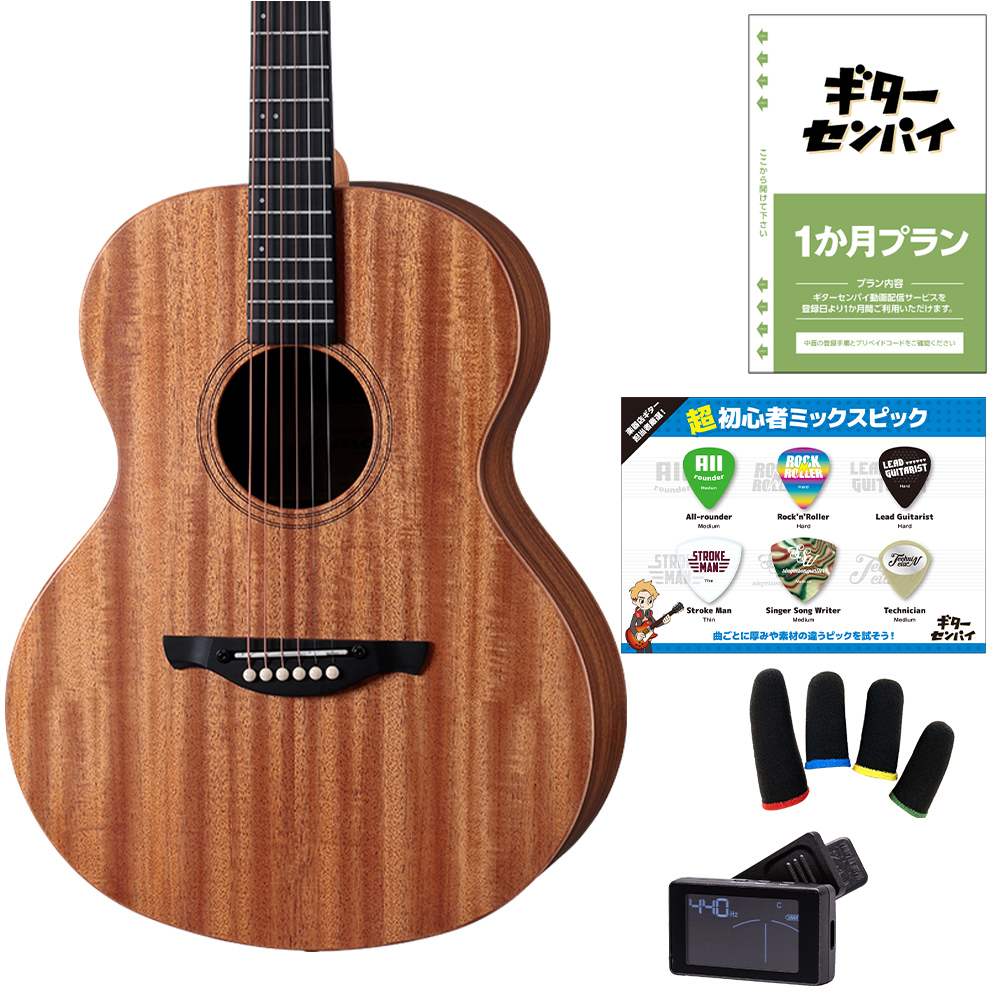 ジェームス（James） ギターを挫折したくないあなたへ J-300AII 超