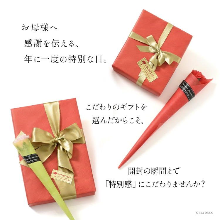 母の日 ギフト ラッピング : ブランドセレクト シンフーライフアザー