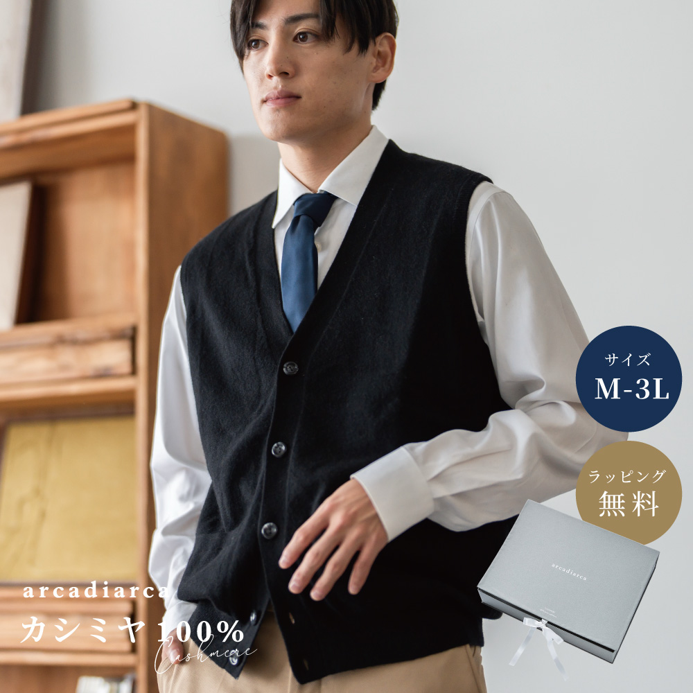 arcadiarca（アルカディアルカ） カシミヤ ベスト メンズ 100% 前開き