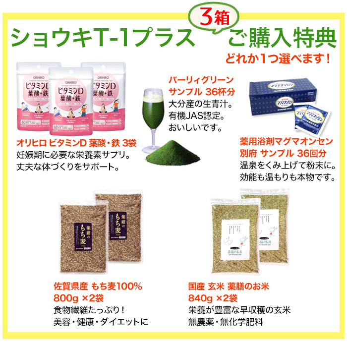 タンポポ茶 ショウキT−1プラス 90袋 (30袋×3箱) ショウキT1 plus