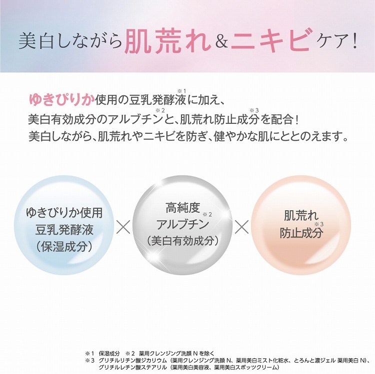 サナ なめらか本舗 薬用クレンジング洗顔 N ( 150g )/ 豆乳発酵液