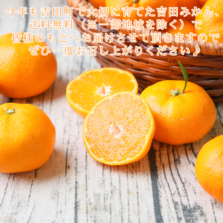 フレッシュ つちやま - 吉田みかん｜Yahoo!ショッピング