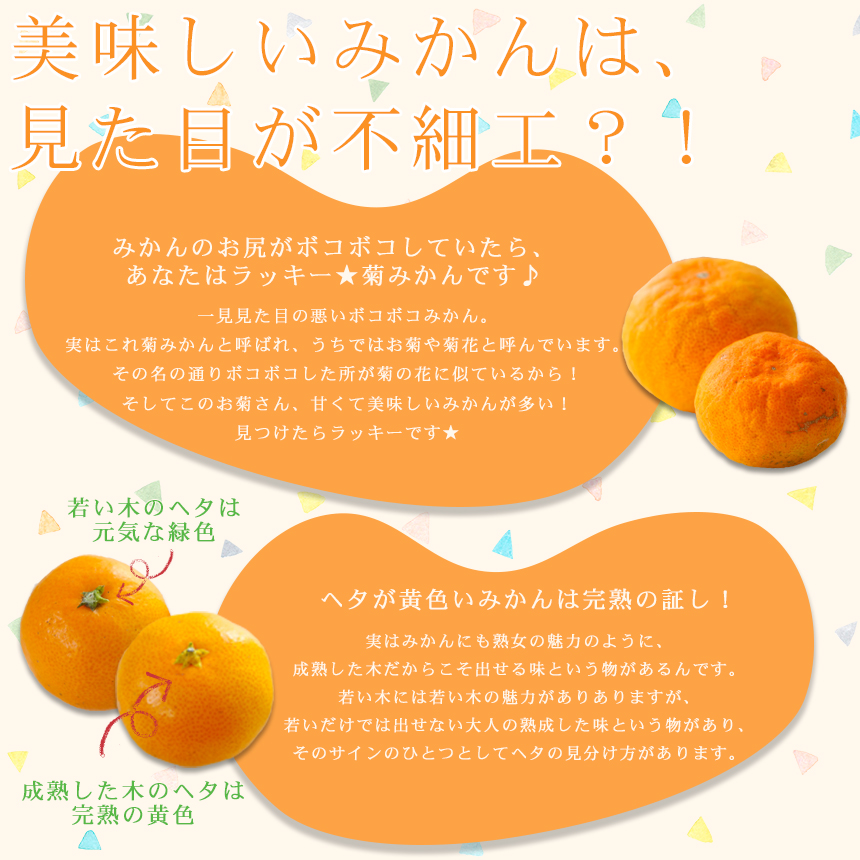 フレッシュ つちやま - 吉田みかん｜Yahoo!ショッピング