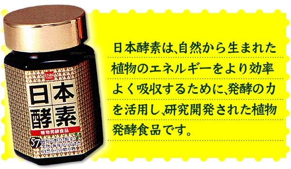 日本酵素 165g 健康フーズ（酵素 サプリ） : 大正 - 通販 - Yahoo