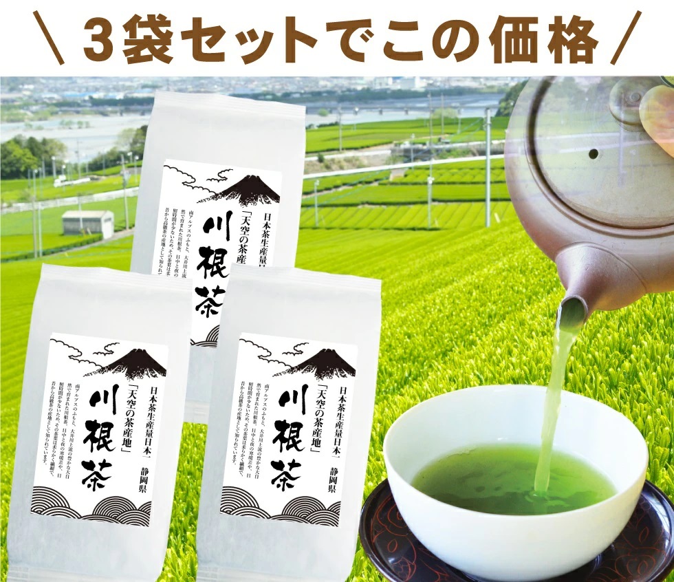 送料無料 川根茶 100g×1袋 お茶 緑茶 煎茶 茶 茶葉 お茶葉 静岡 川根
