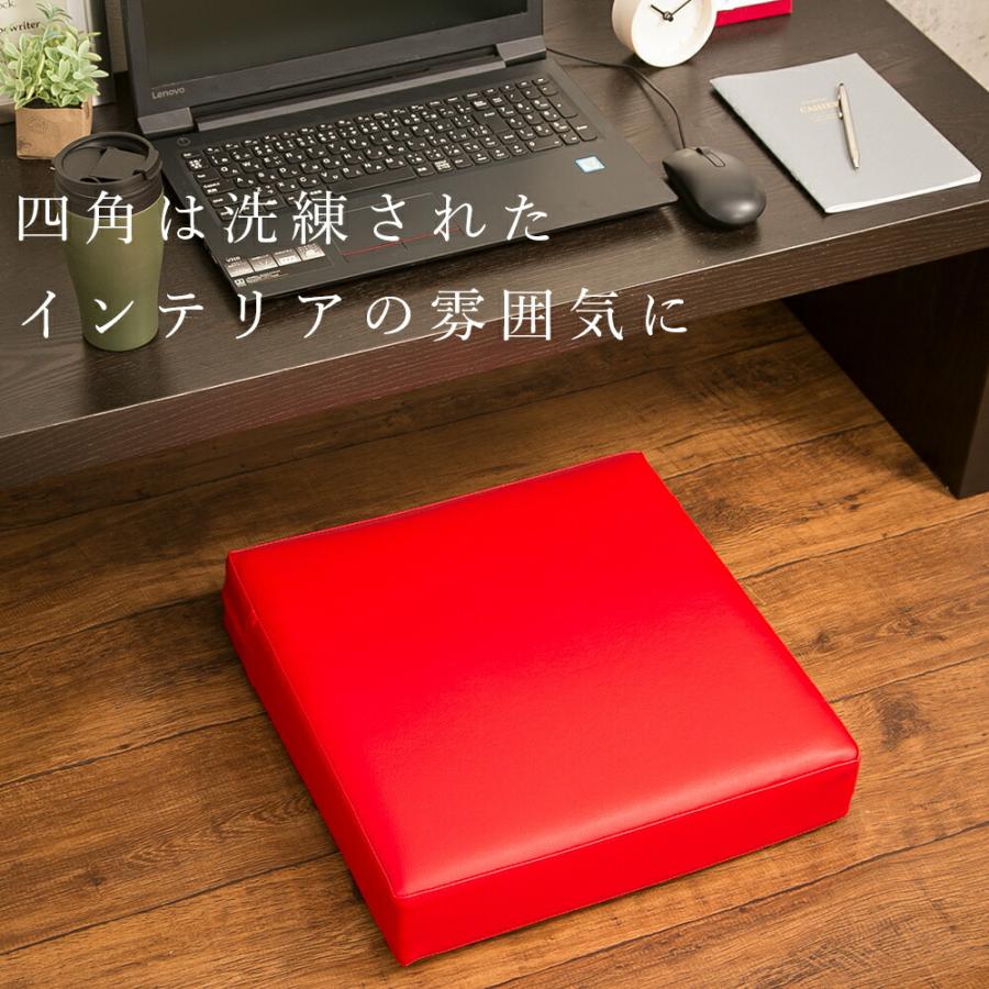 クッション フロクッション 「CO-LEON」 おしゃれ お手入れ簡単