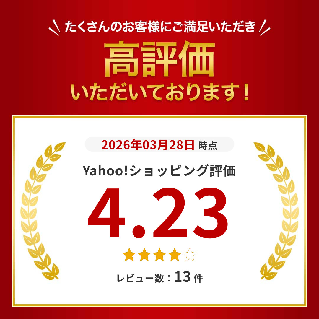 ANLAN（アンラン） 美顔器 pro 毛穴ケア ems rf イオン導入 led 1台9役