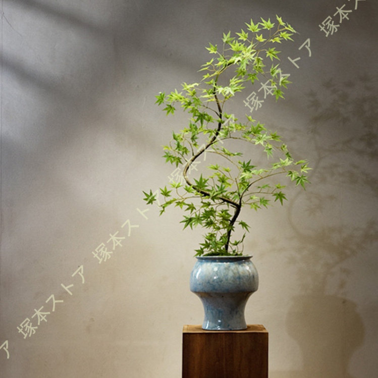 フェイクグリーン 卓上 楓の木 禅の装飾品 人工観葉植物 人工盆栽 玄関