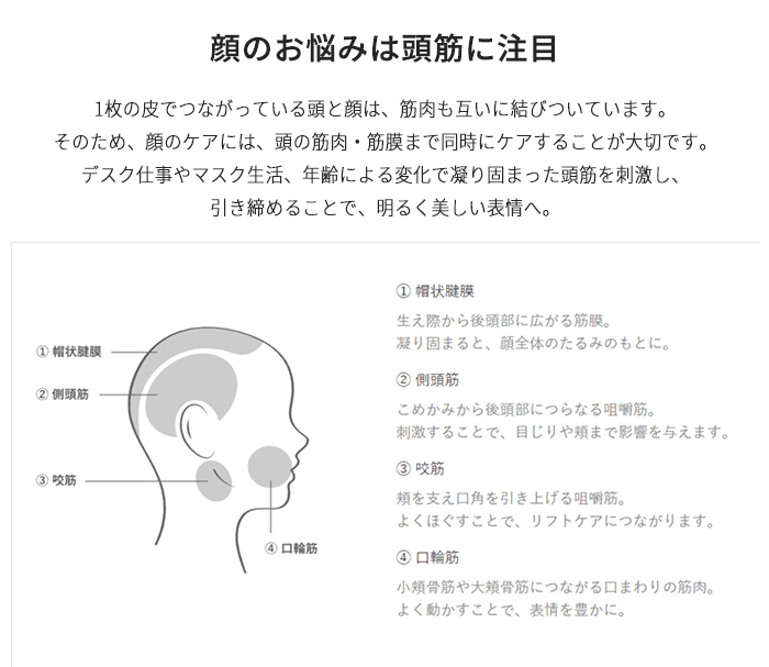 AiMY（エイミー） 美顔器 電気ブラシ EMS 頭皮 リフト エイジングケア
