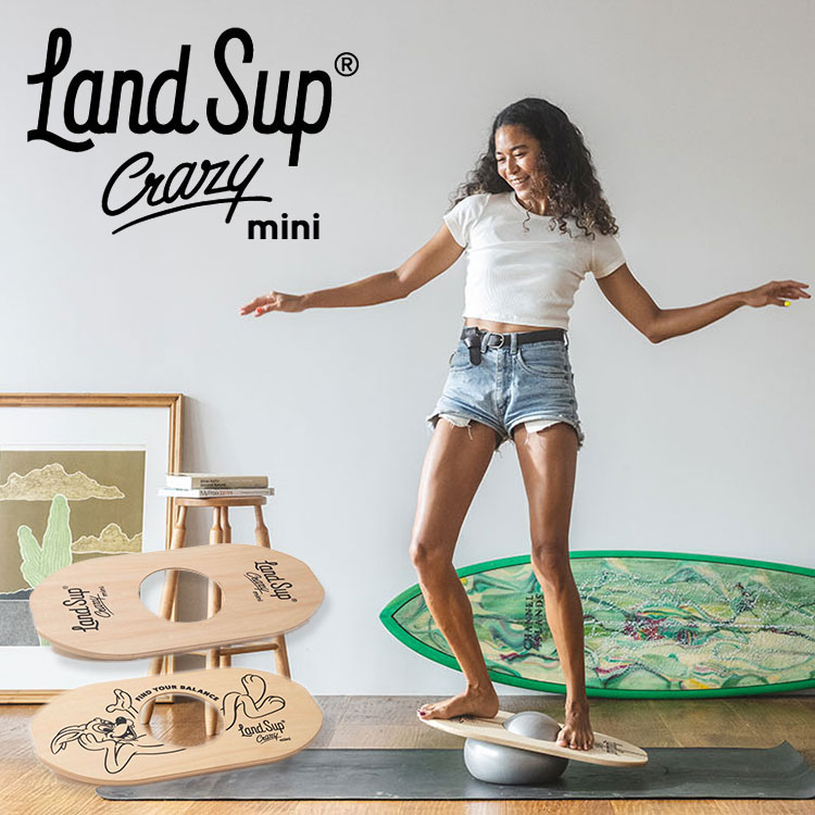 バランスボード LandSup Crazy mini ランドサップ クレイジーミニ 全2