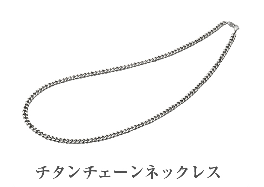 Phiten（ファイテン） チタンチェーンネックレス 40cm【公式