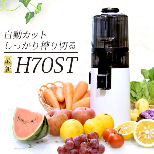 HUROM（ヒューロム） 特典10％OFF 2024年最新 ジューサー スロー