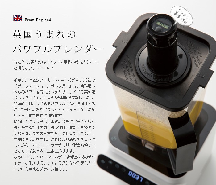ハイパワーブレンダー DUNNETTS ダネッツ プロフェッショナル