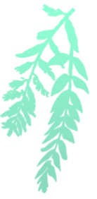 液晶パネル LG LM238WF4-SS J2 LM238WF4-SSJ2 非光沢 23.8インチ