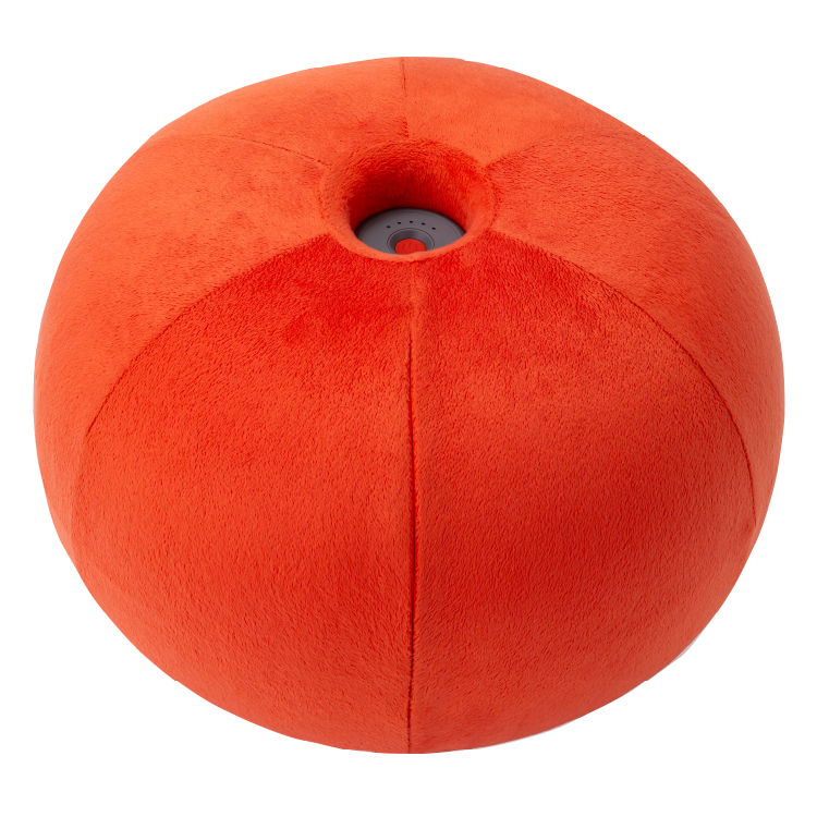 PROIDEA（プロイデア） ストレッチパートナー ハグスフィア 抱えてる