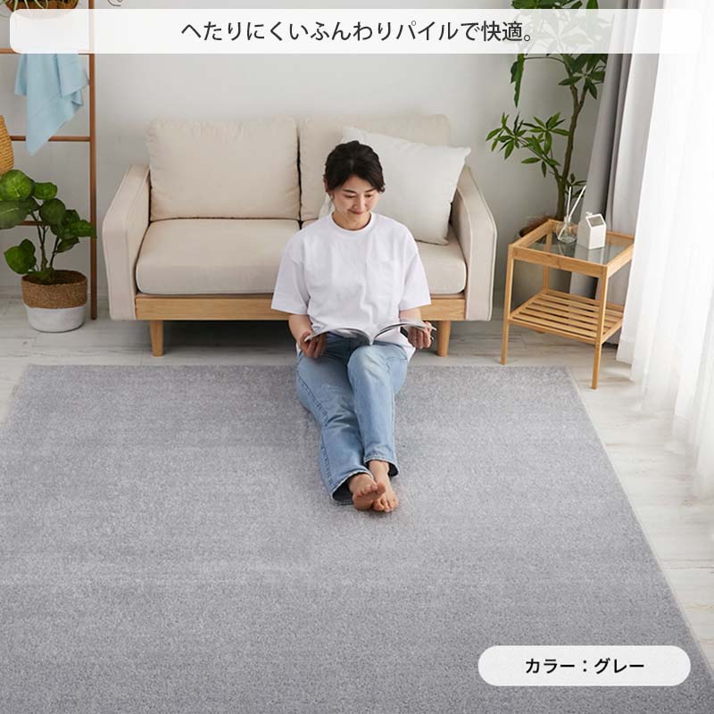 グラムスタイル カラー限定特価 ラグ 夏用 冷感 洗える 3畳 190×240cm