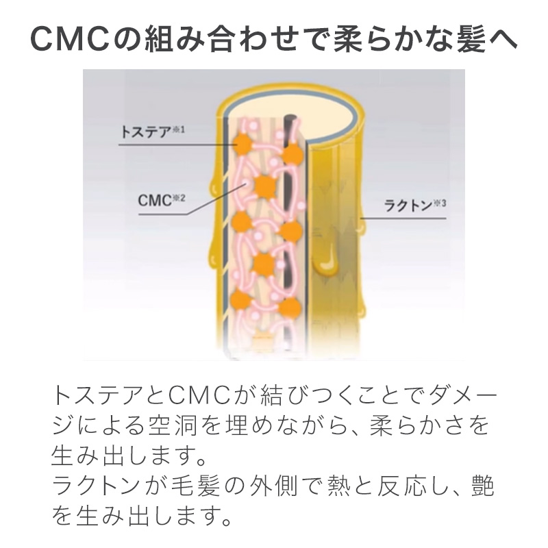 ピアセラボ エアンス ザ サロン モイストマスク 500g 詰替用|EANs 詰