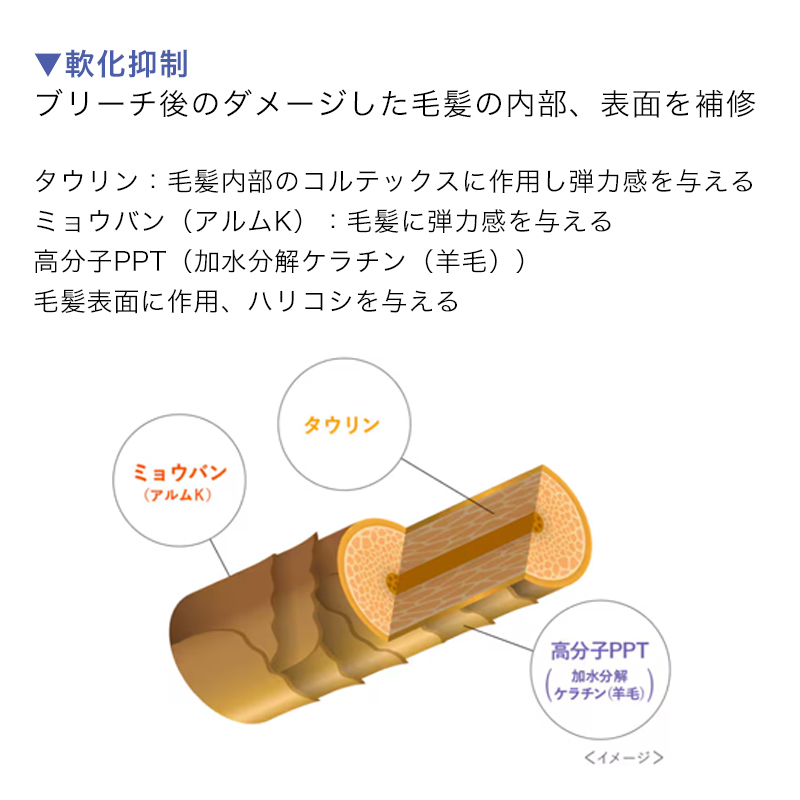 hoyu（ホーユー） プロマスター パワーブリーチ 500g + ケアプレックス