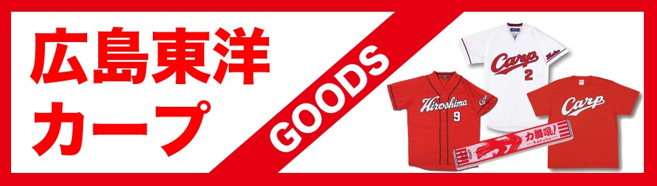 廃盤 THE STAR CLUB DVD TOUR WARNING BELL