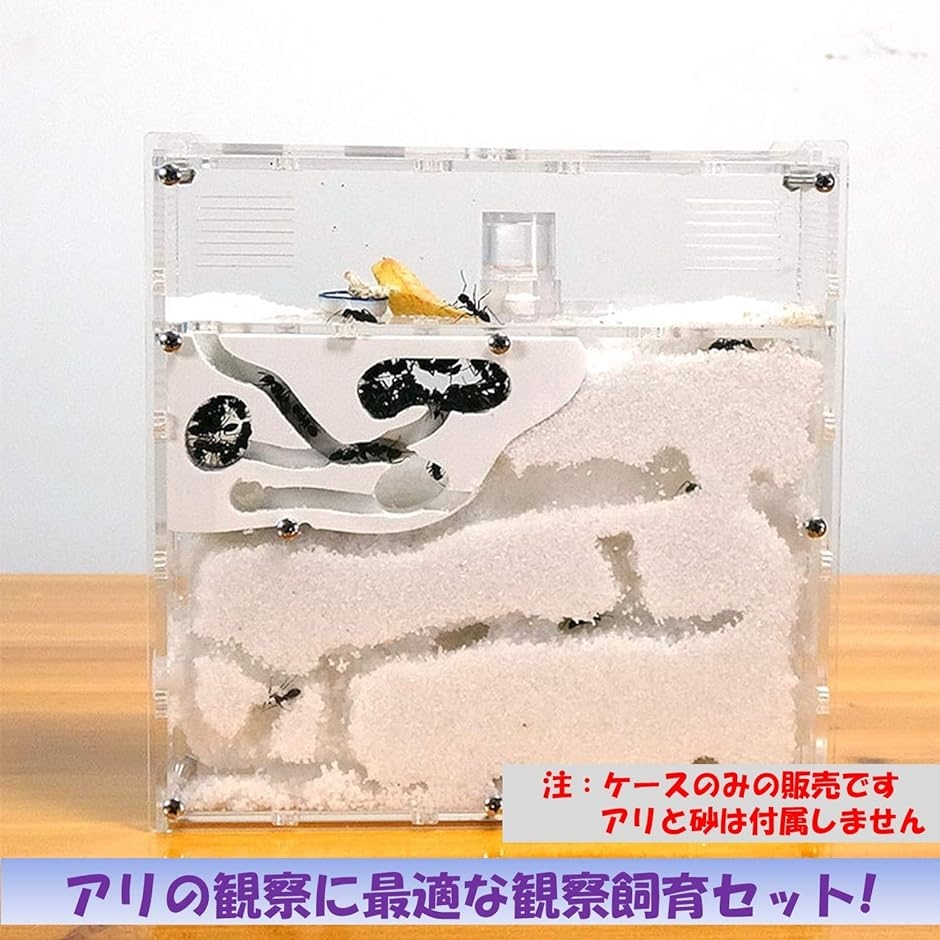 アリの巣観察キット 自由研究 昆虫採集セット 飼育ケース アリ飼育